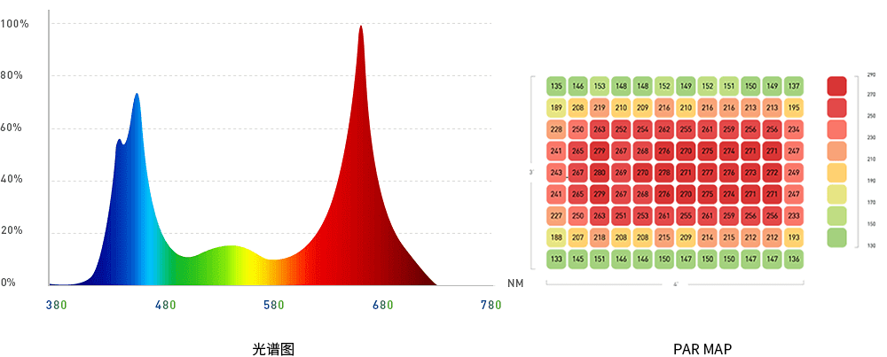 独立光系统 育苗