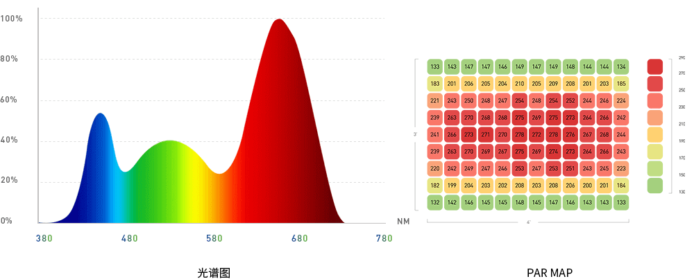 独立光系统 栽培