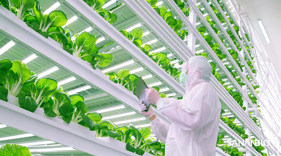 植物工厂环控是技术活，PlantKeeper™ 可实现智能监管