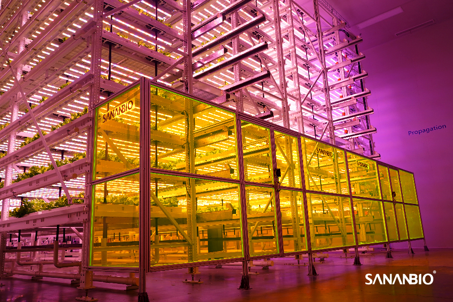 中科三安无人化植物工厂3.0---面向未来的农业科技